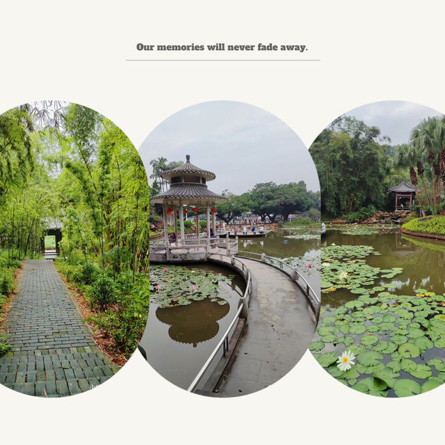 澳門盧廉若公園～小橋流水