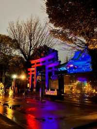 ✼東京✼今だけ!!初詣は幻想的な世界へ