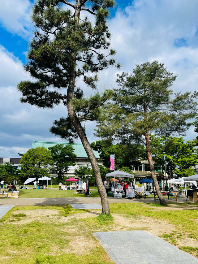 【京都府】癒しの観光スポット岡崎公園