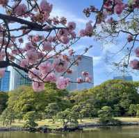 Hama-rikyu Gardens