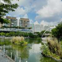 Unwind and Unplug: Punggol Park Connector's Nature Escape