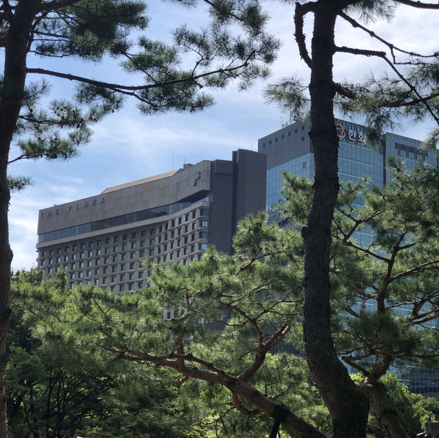 서울여행-동서양이 공존하는 덕수궁