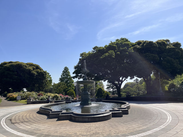 港の見える丘公園で楽しむバラ🌹@横浜