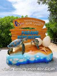 Turtle Conservation Alor Gajah 