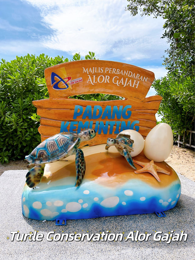 Turtle Conservation Alor Gajah 