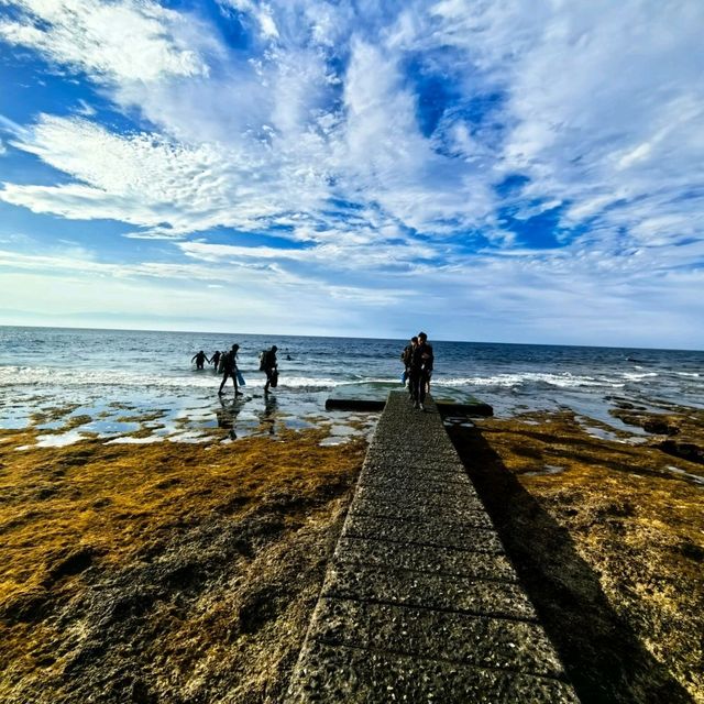 綠島出潛之旅2024