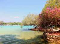 เที่ยวเกาะเสม็ด