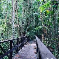Forest Research Institute Malaysia