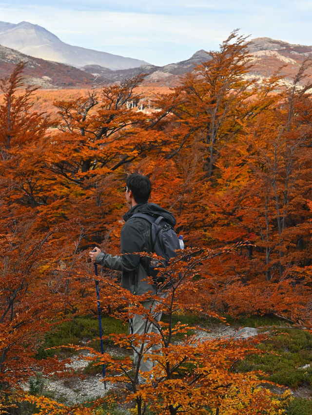 มีเหตุผลอะไรที่ครั้งหนึ่งในชีวิตจะไม่มา Patagonia