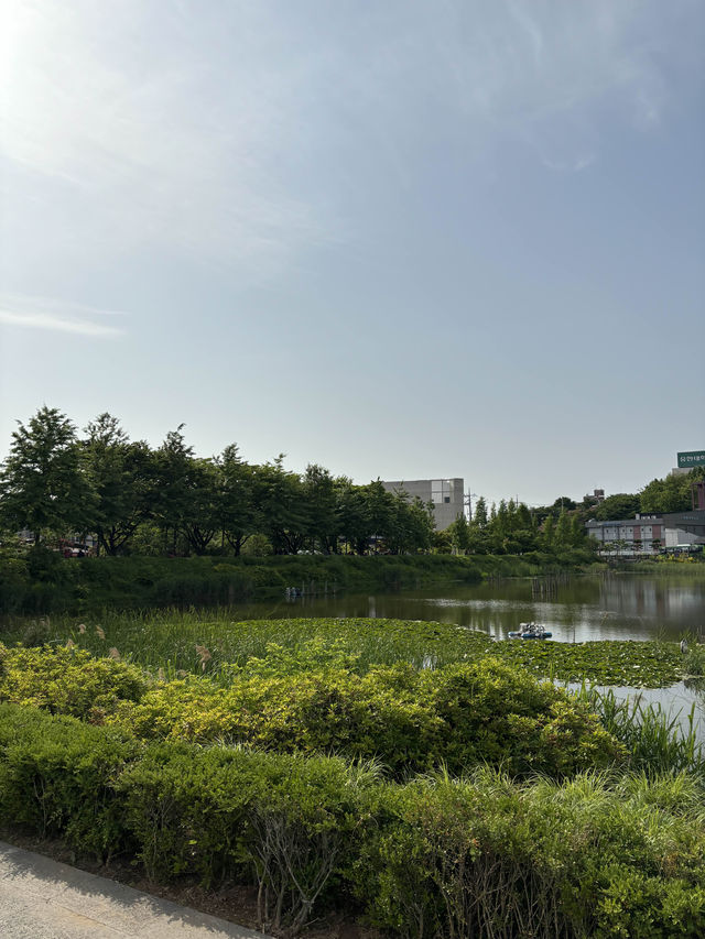 따스한 봄 햇살을 맞으며 힐링할 수 있는 푸른수목원❤️