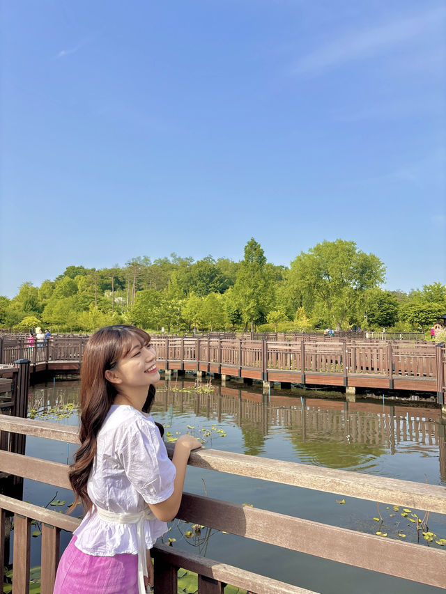 여러 종류의 꽃을 구경하며 산책하기 딱좋은 수목원💚