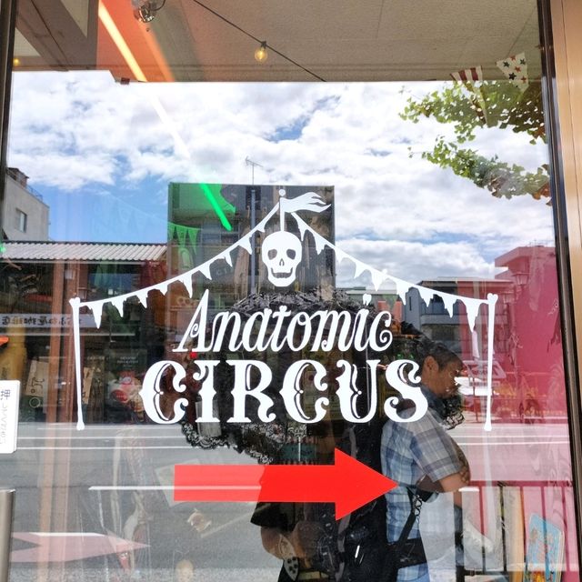 夏旅は京都へ行こう💠オープンしたばかりのサーカスみたいな雑貨屋さん