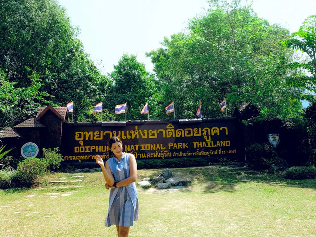 เที่ยวน่าน…เที่ยวอุทยานแห่งชาติดอยภูคา