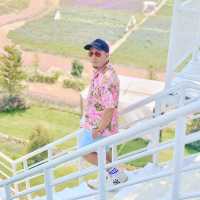 แจกพิกัดคาเฟ่ทุ่งดอกไม้ เขาใหญ่ เปิดใหม่ล่าสุด