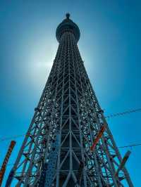 Tallest Tower in Tokyo