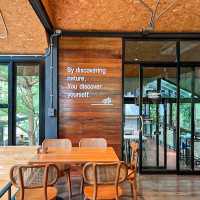 INTO THE FOREST | ดื่มด่ำบรรยากาศคาเฟ่กลางหุบเขา