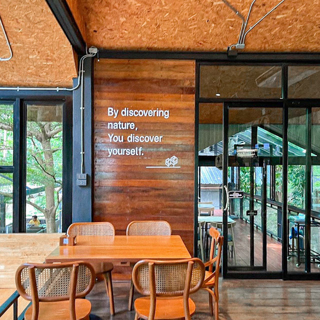 INTO THE FOREST | ดื่มด่ำบรรยากาศคาเฟ่กลางหุบเขา