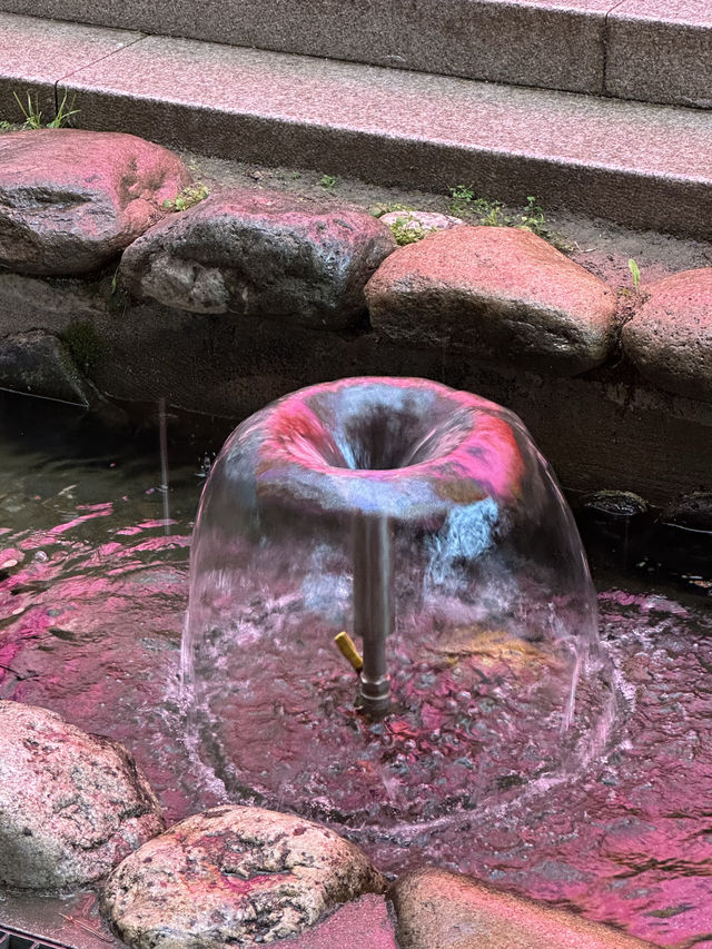 알록달록 봄을 더 아름답게 즐기실 수 있는 🪷 인사동 사찰 데이트 🌸