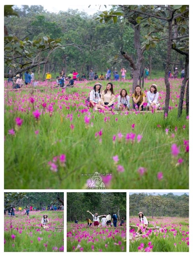 ชี้พิกัดเที่ยวชัยภูมิ : เมืองรองน่าเที่ยว