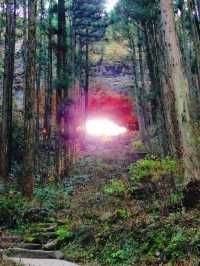 【南阿蘇】異世界に迷い込んだかのような神秘の世界へ！上色見熊野座神社