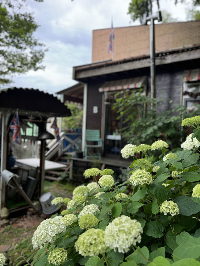 【福岡カフェ】ひっそりとやられてる隠れ家アンティークカフェ🇬🇧