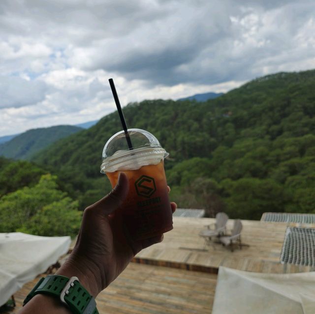 베트남여행 달랏 사진맛집 카페 Horizon Coffee