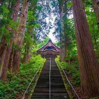 「尊寶寺：歷史悠久、庭園美麗」