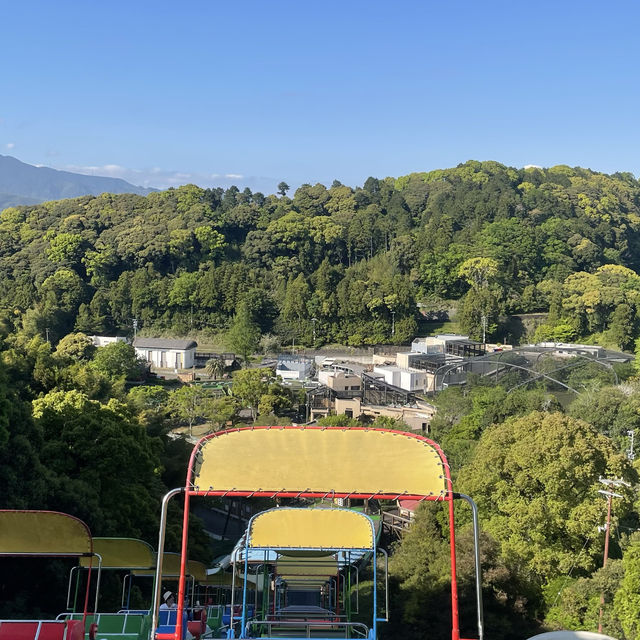 富士山が絶景の日本平
