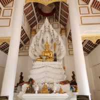 สายมูต้องมา "คำชะโนด วังนาคินทร์"