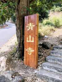 原來香港寺廟都有月老「青山禪院」
