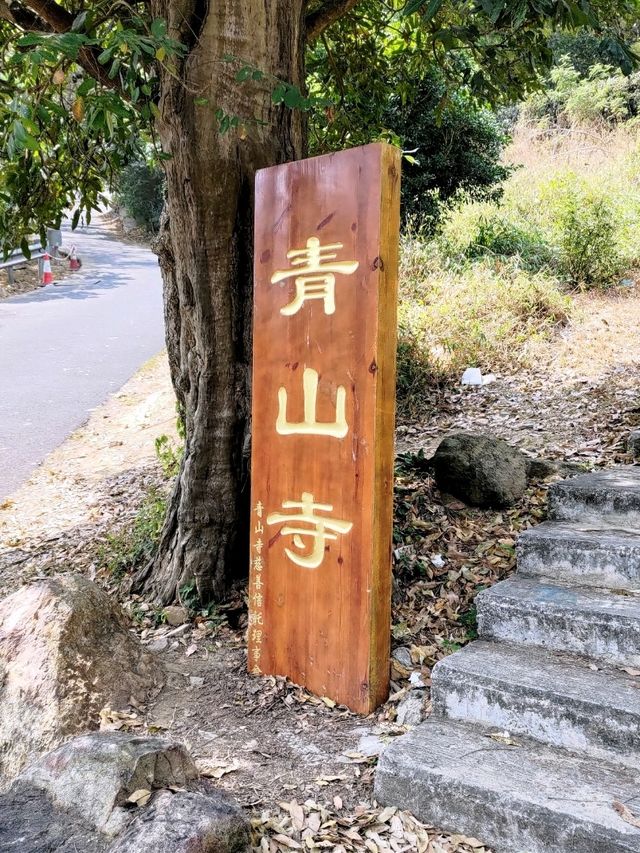 原來香港寺廟都有月老「青山禪院」