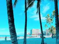🏖️ Hilton Wakiki Beach