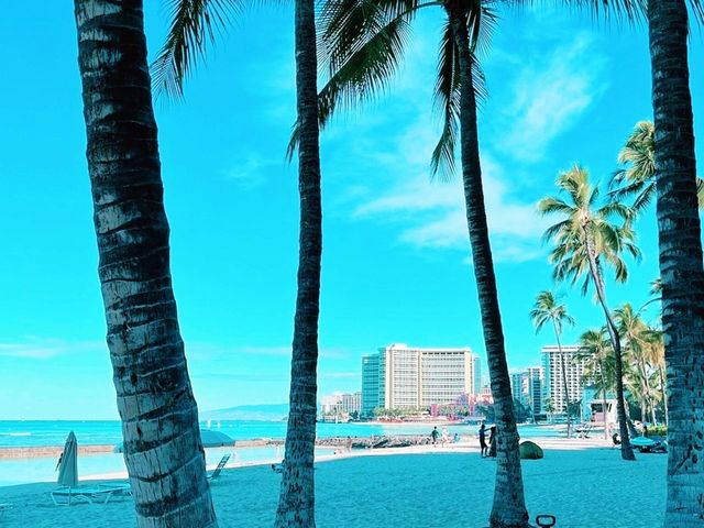 🏖️ Hilton Wakiki Beach