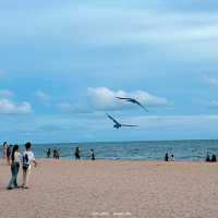 Haus คาเฟ่สุดชิลล์ ที่หาดแหลมเจริญ ระยอง 