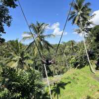 【バリ島】Ubudでの1日を紹介🌳🐒