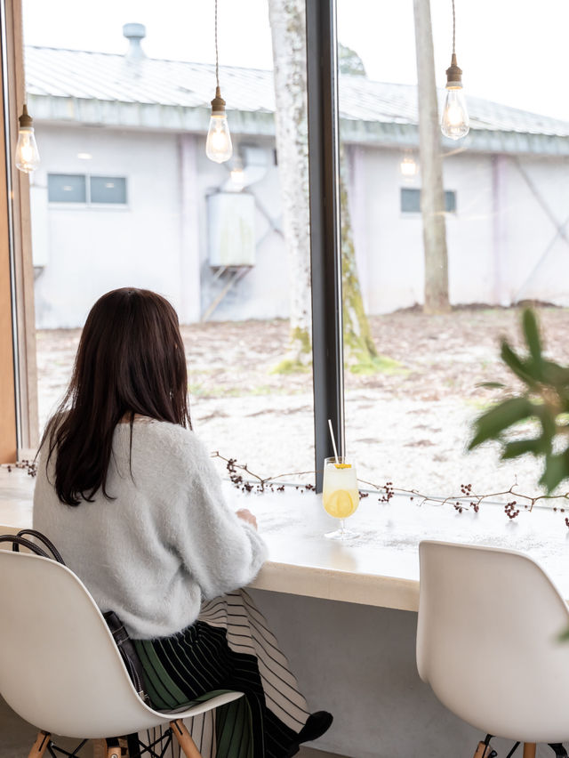 【福井｜越前】女子旅にはずせない！通いたくなる老舗寿司店のおしゃれカフェ♡ O-edo+