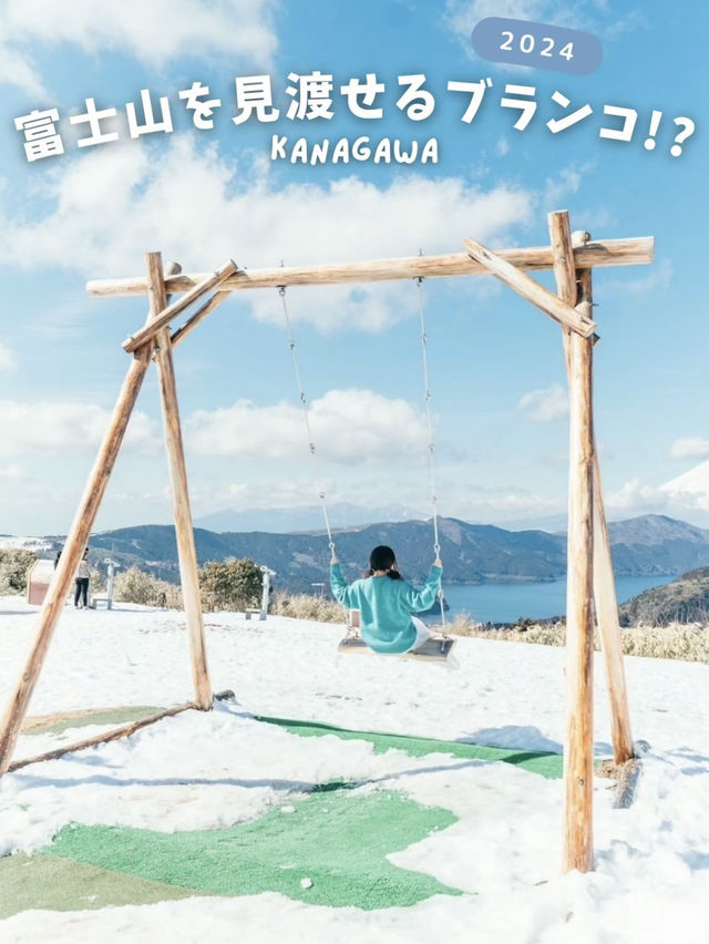 【ここどこ？】富士山を眺められる大きなブランコ!!!