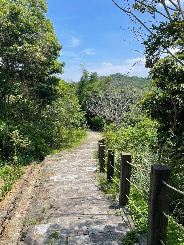 苗栗 親民步道～老少咸宜