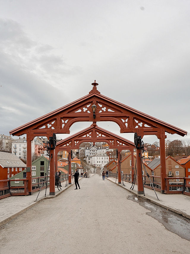 📍Trondheim