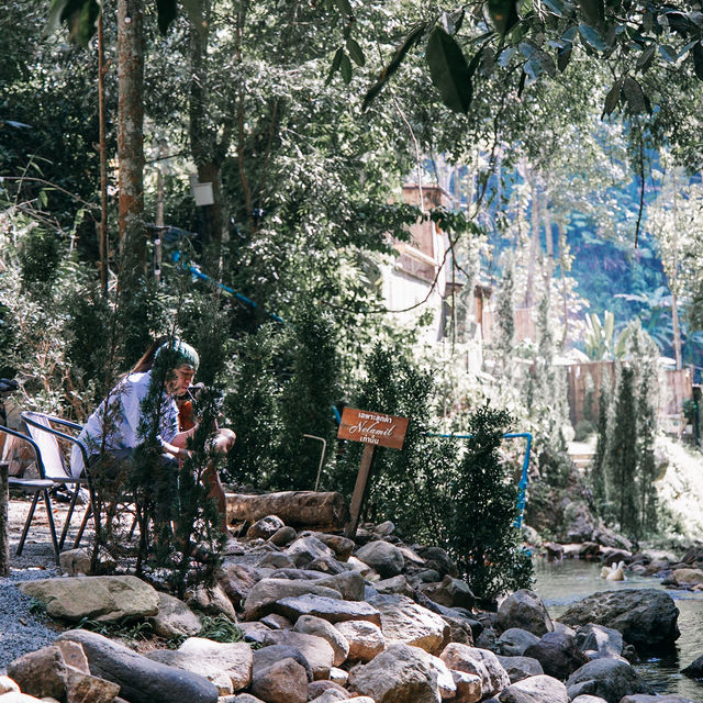 คาเฟ่ใจกลางป่า เชียงใหม่ 🍃🌳