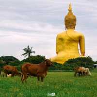 ไหว้พระ ทำบุญ วัดม่วง อ่างทอง
