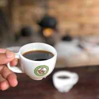 แจกพิกัดเดินป่า ตามรอยเส้นทางสายกาแฟ