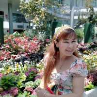 Miracle of Natural Rayong สวนดอกไม้เมืองหนาว