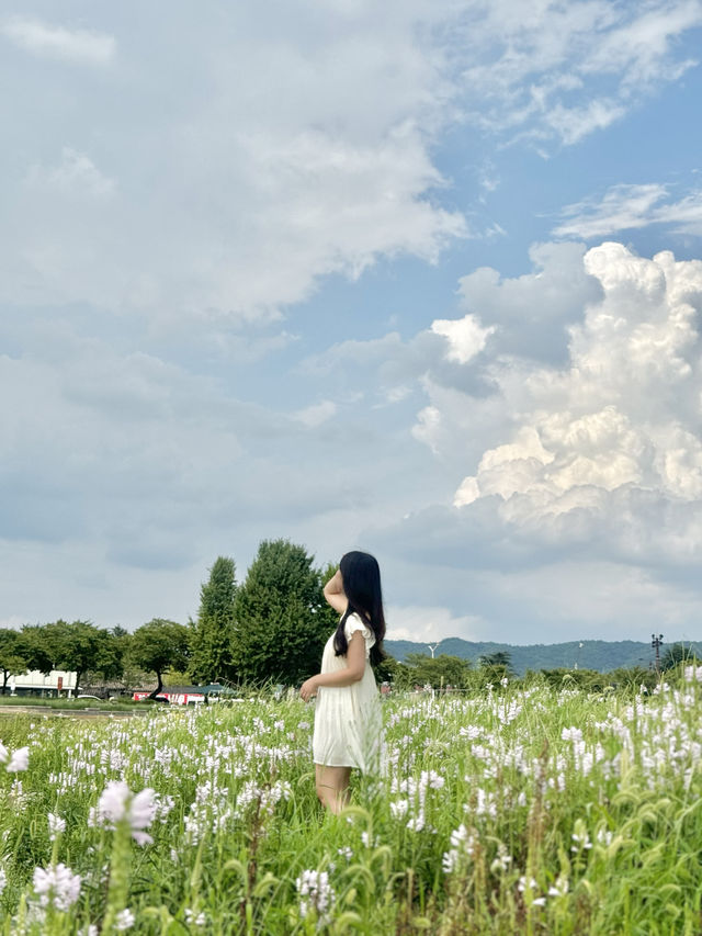 드넓은 대지에 꽃들이 한가득한 이곳! 경주 필수코스랍니다 💕
