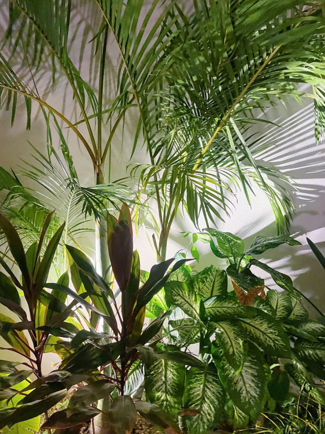 【沖縄】古宇利大橋が一望出来るプールヴィラ🌴🤍