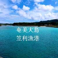 ウミガメの海🏝️奄美大島✨笠利漁港