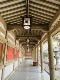 【愛媛県:松山市】松山市を代表する伊豫豆比古命神社(椿神社)