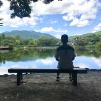 由布院金鱗湖-美麗風景，神秘鳥居，大分縣的代表景點。