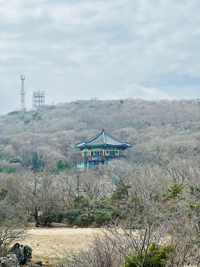 🇰🇷 濟州 韓國最高山漢拿山 🏔️ 最短登山徑⛰️
