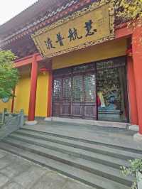 有著600多歲參天銀杏的南山禪寺